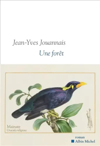 Une forêt Jean-Yves Jouannais rentree litteraire janvier 2026 boulevard