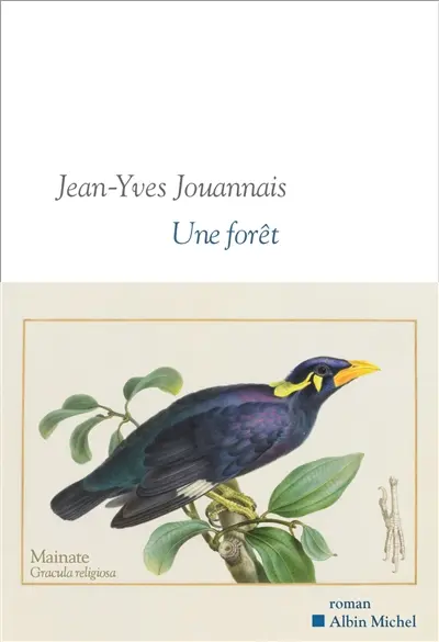 Une forêt Jean-Yves Jouannais rentree litteraire janvier 2026 boulevard