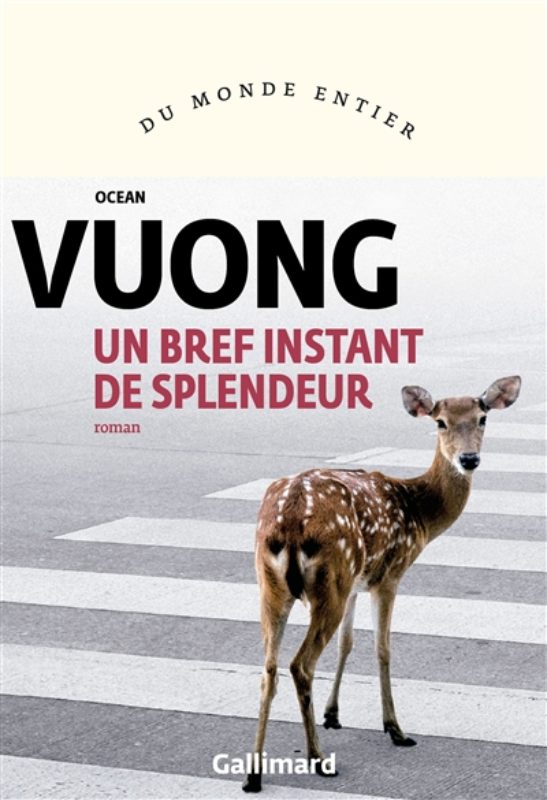 Vuong_Bref