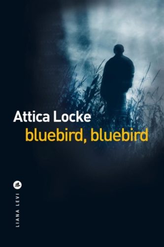 Locke_Bluebird