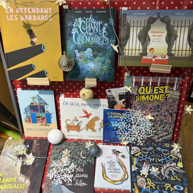 Vous cherchez des livres jeunesse pour Noël…?