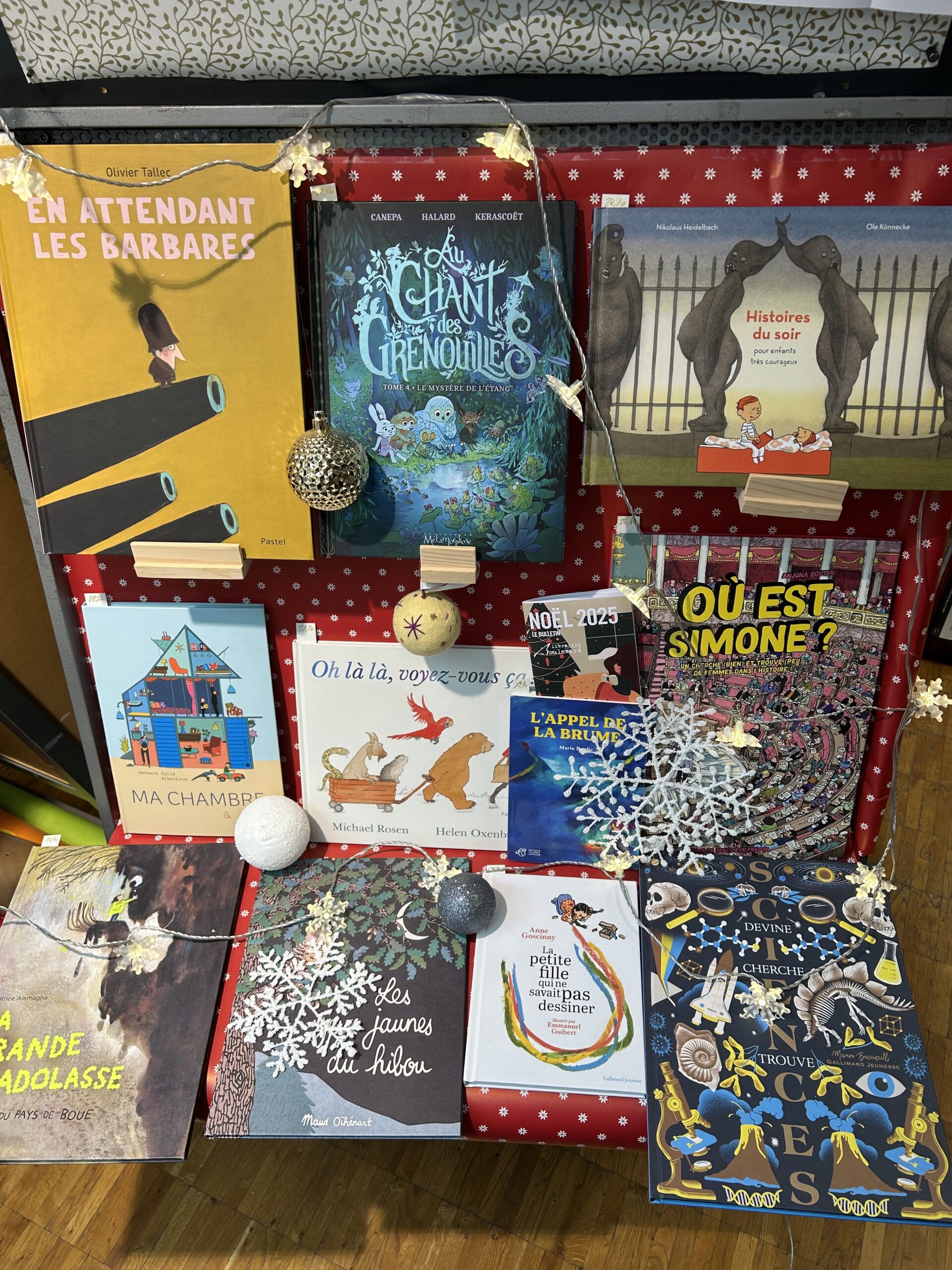 Vous cherchez des livres jeunesse pour Noël…?