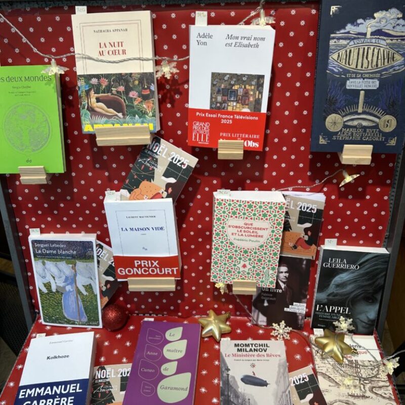 Nos recommandations romans