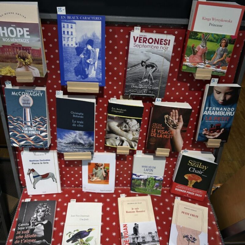 Rentrée littéraire 2026, un petit choix