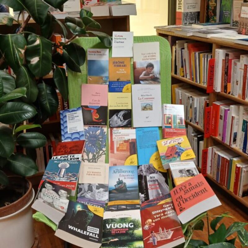 Les livres de notre bulletin d&rsquo;été – en pages et reliure