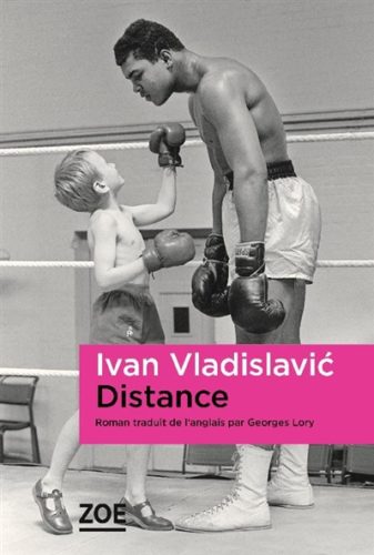 Vladislavic_Distance