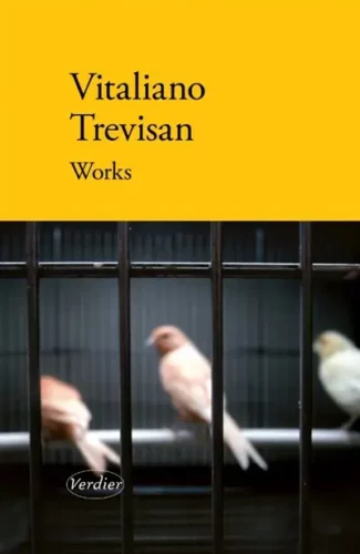 Vitaliano Trevisan Works verdier italie
