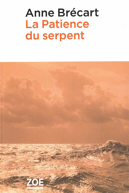 roman_Brécart_Patience