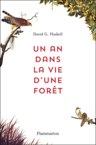 un-an-dans-la-vie-d-une-grande-foret