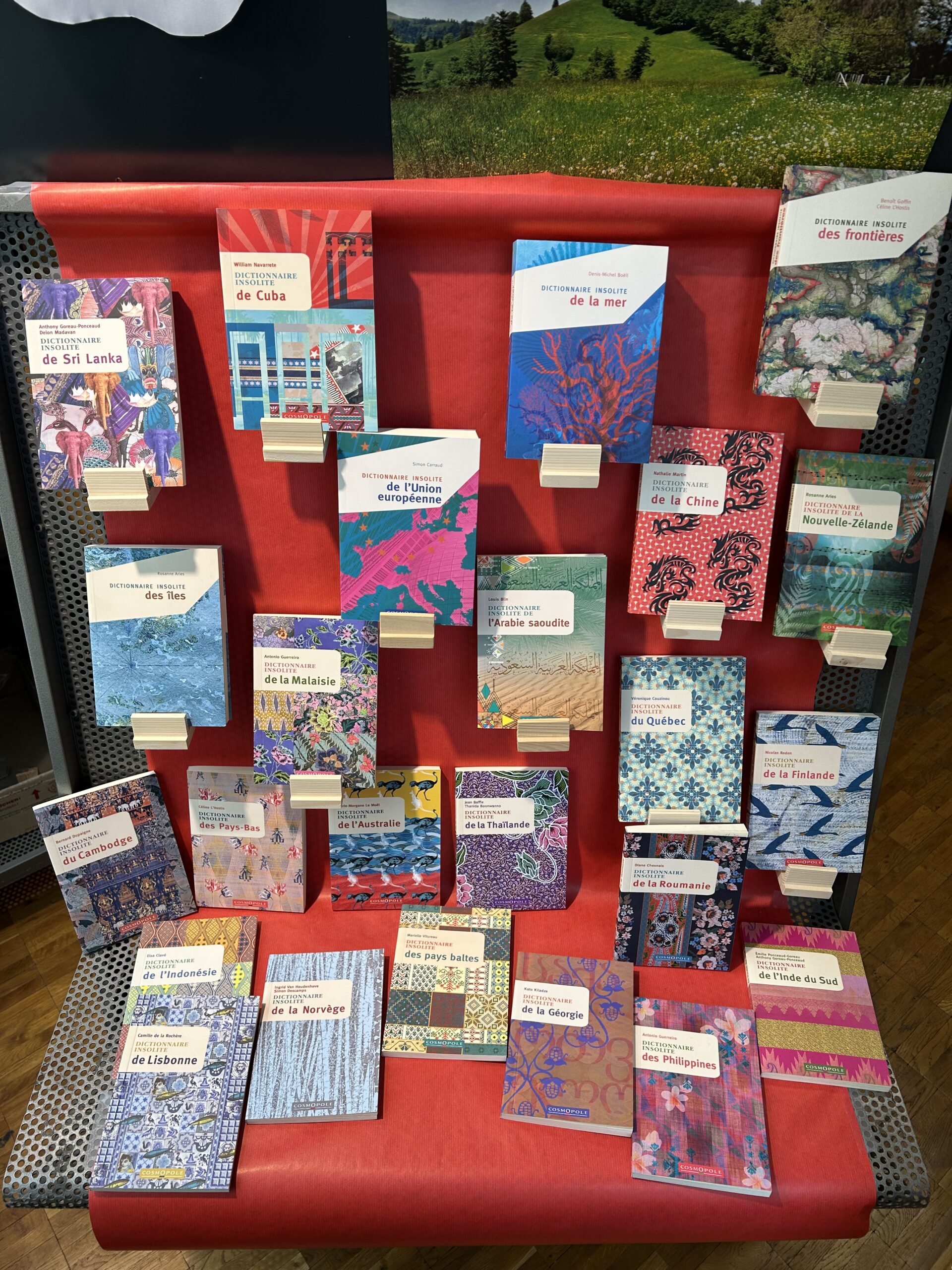 Dictionnaires insolites